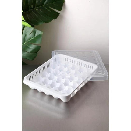 15 Grid Irani Eggs storage Transparent Egg Storage Refrigerator Tray Egg tray - THELOOTSALE