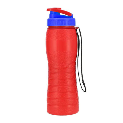 Appolo Thermic Bottle 500 ML - THELOOTSALE