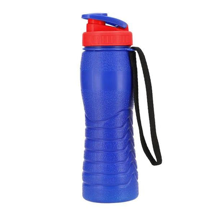Appolo Thermic Bottle 500 ML - THELOOTSALE