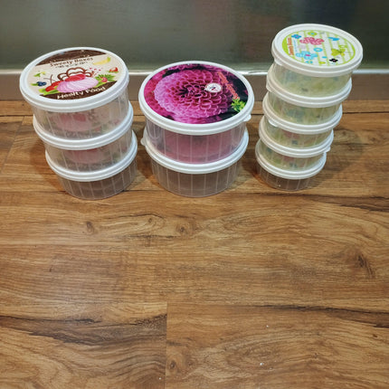 SRH 10 Pcs Durable Plastic Food Storage Box with lid covers - THELOOTSALE
